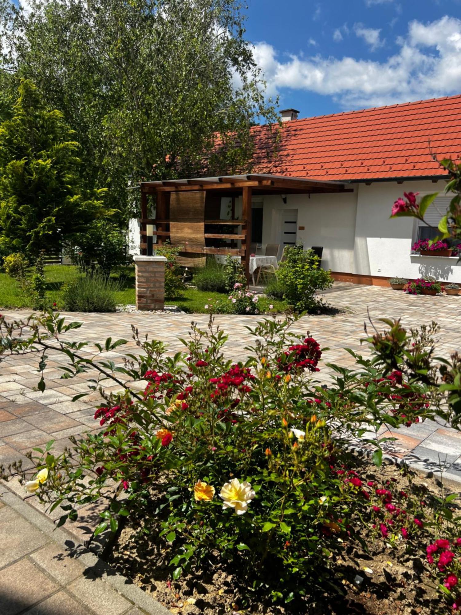 Dreko Panzio & Borbisztro Bed & Breakfast Gyorujbarat Exterior photo